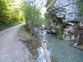 Giro ad anello salendo al Bivacco Testa dalla Val Vertova sul sentiero 527 e scendendo dal 529 sabato 22 maggio 2010 - FOTOGALLERY